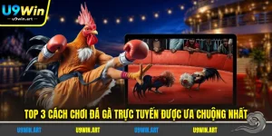top-3-cach-choi-da-ga-truc-tuyen-duoc-ua-chuong-nhat