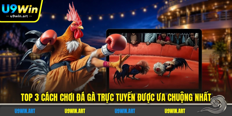 top-3-cach-choi-da-ga-truc-tuyen-duoc-ua-chuong-nhat